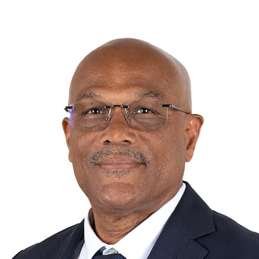 Photo officielle de Dominique Théophile